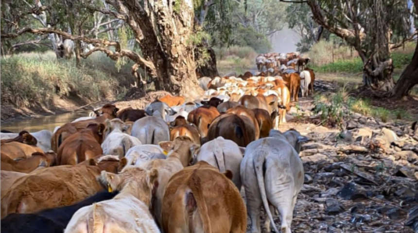 Managing reproduction rates